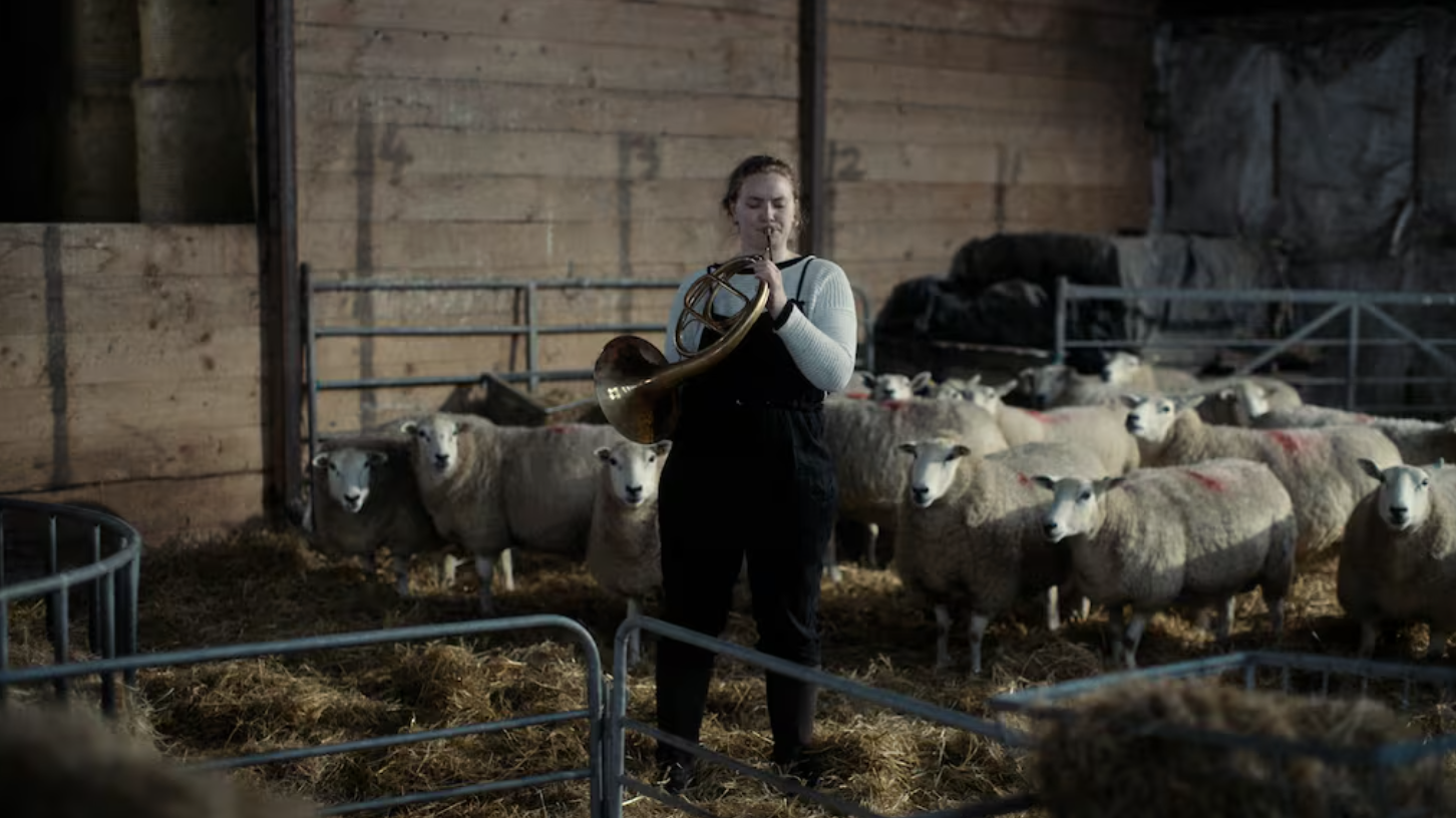 Review: Notes From Sheepland