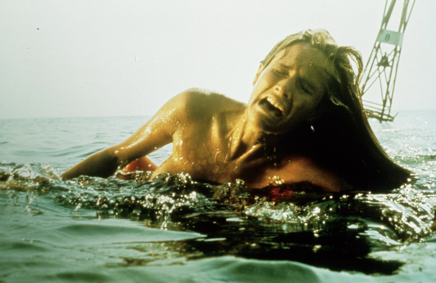jaws