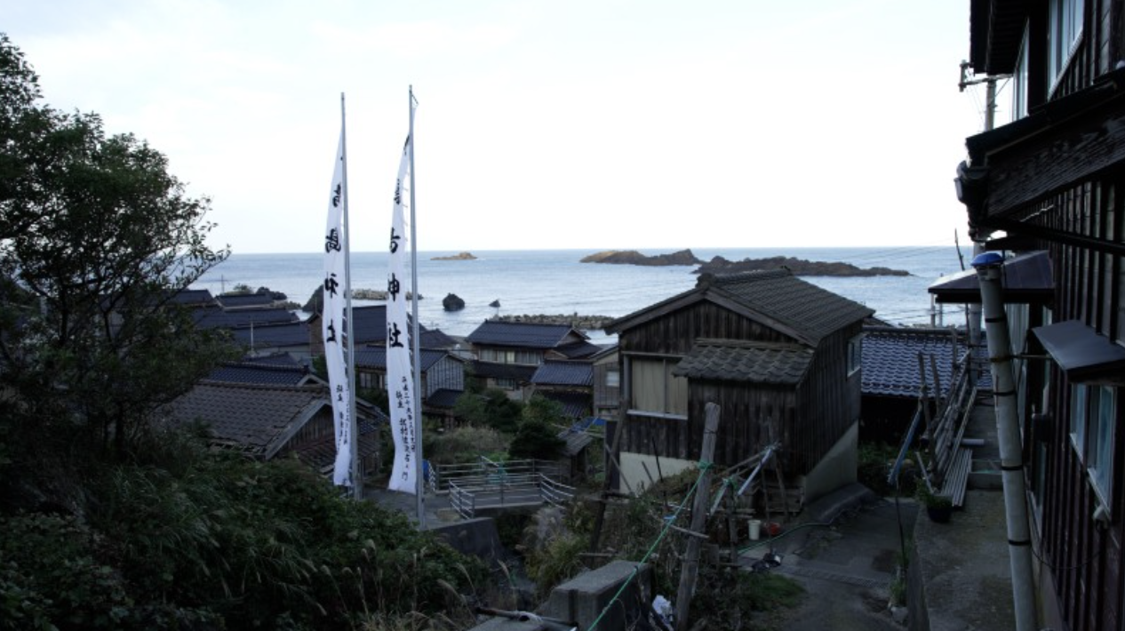 Review: North Cormorant Island