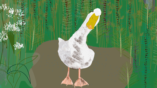 Melissa Culhane, A Quack too Far