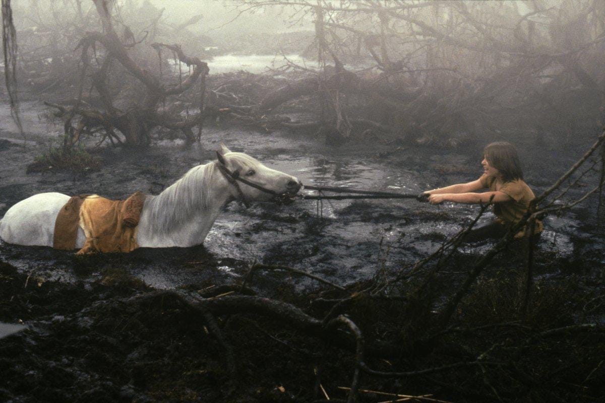 While filming the NeverEnding Story (1984), actor Noah Hathaway (Atreyu)  got his leg caught while filming the Swamp of Sorrows scene and was pulled  under and was unconscious by the time he