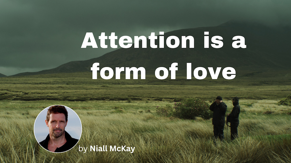 Attentione is a form of love