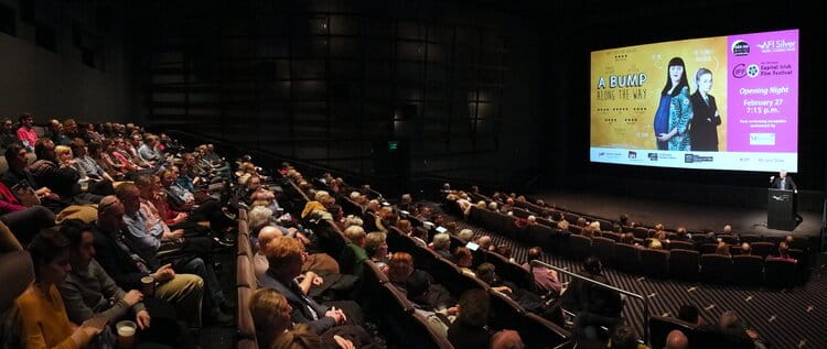 Capital Irish Film Festival 2020