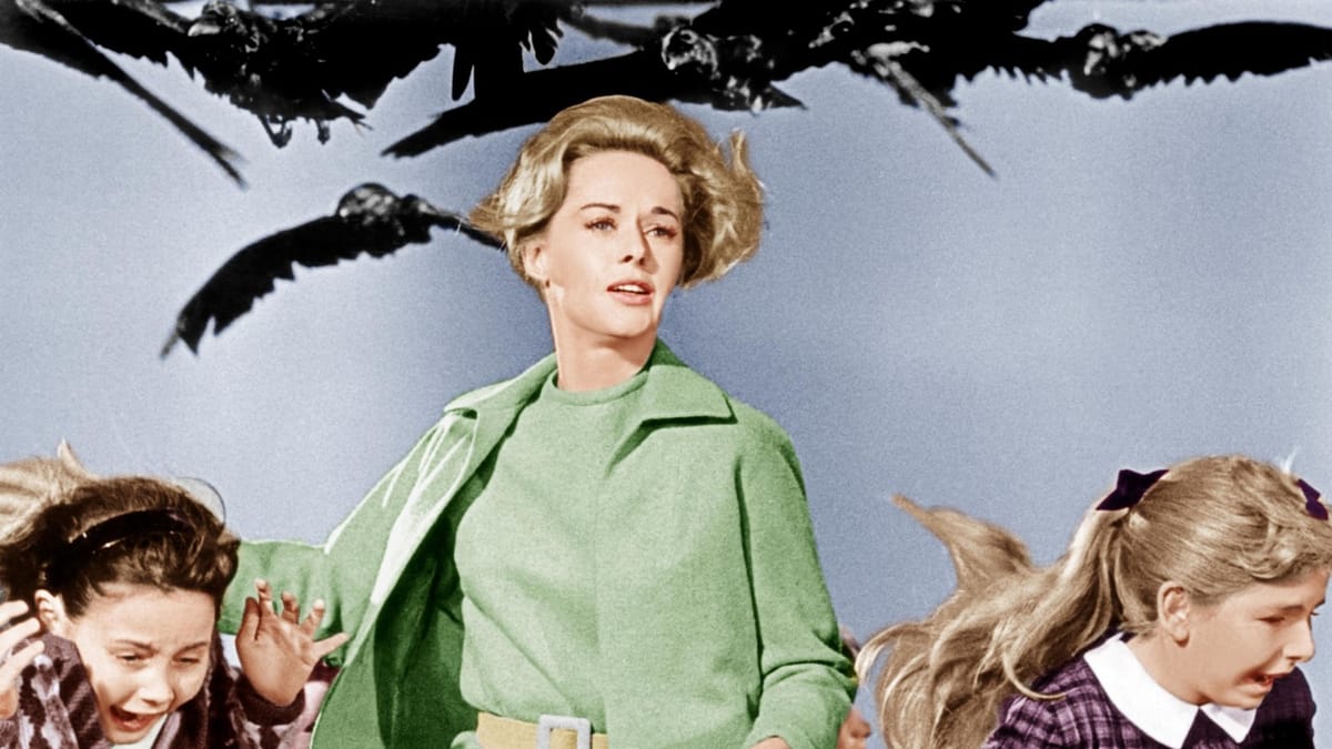 Review: The Birds