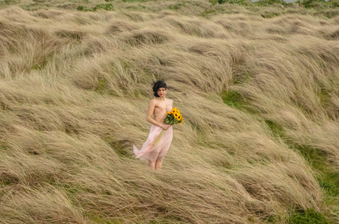 Review: Sunflower