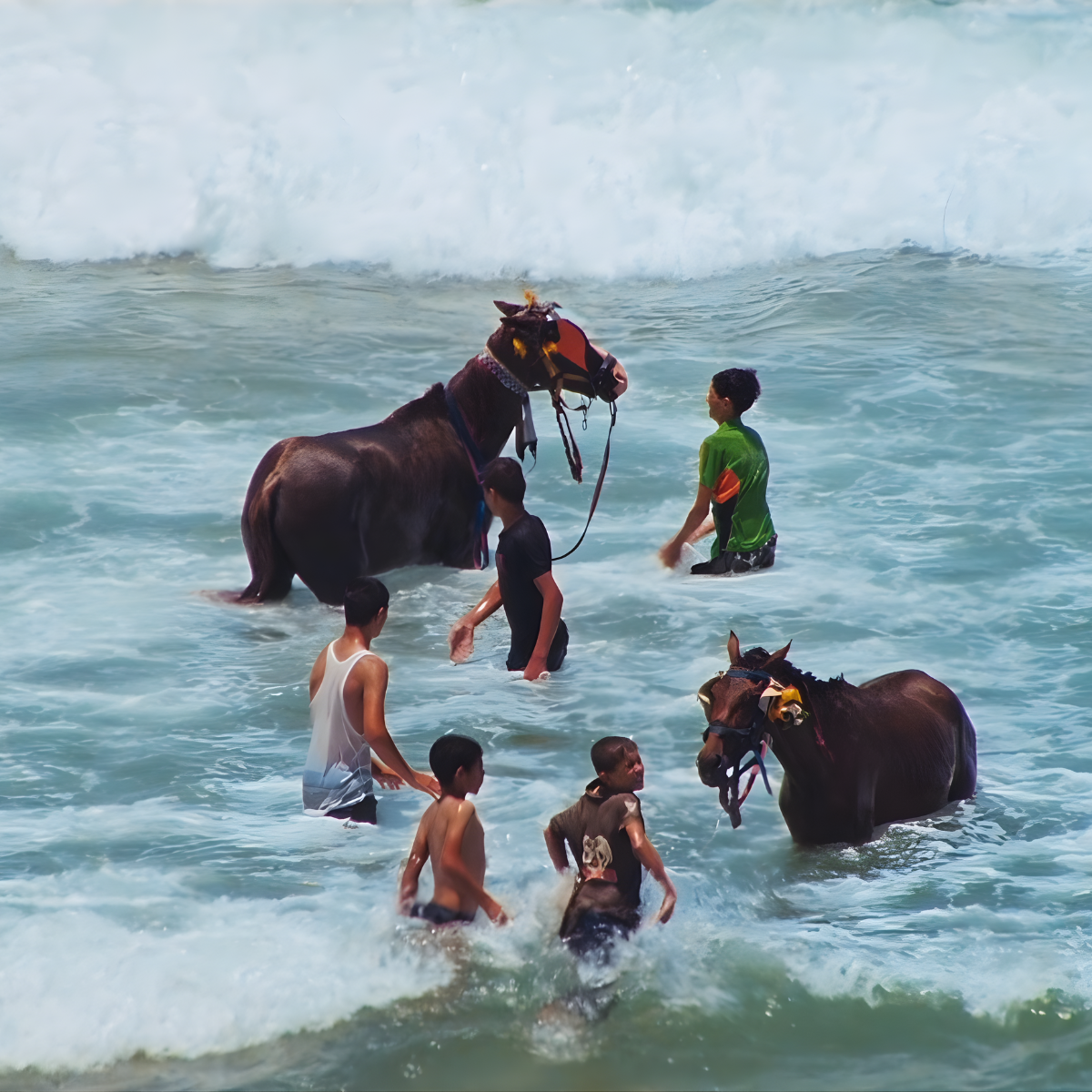 Review: Our Tongues in Exile