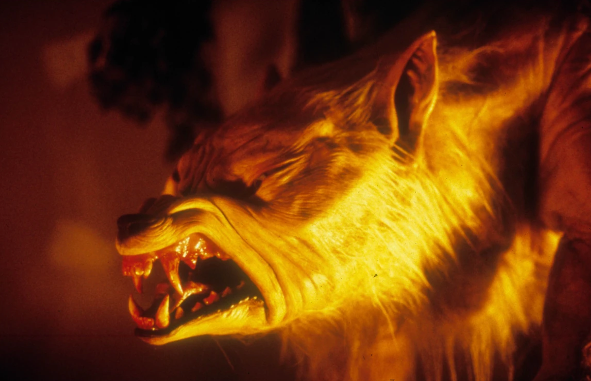 Reel Horror Show: Episode 5